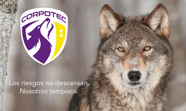 seguridad privada ixtapa zihuatanejo guerrero costa grande petatlan oficiales guardias custodia policia privada